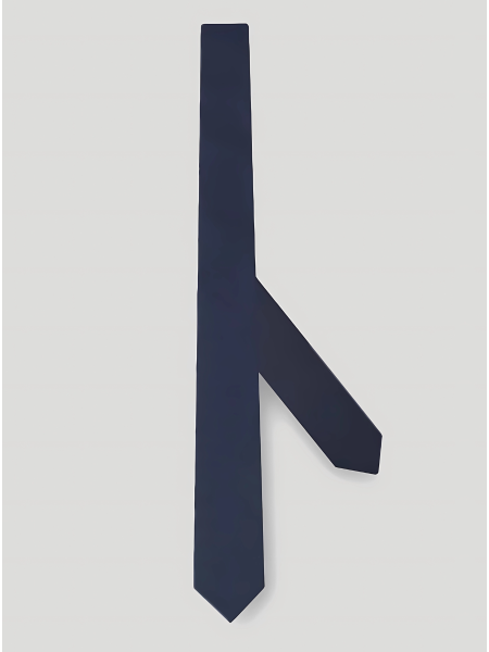 Business Dress Silk Tie